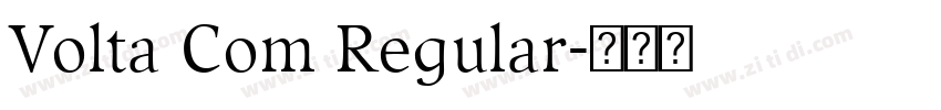 Volta Com Regular字体转换